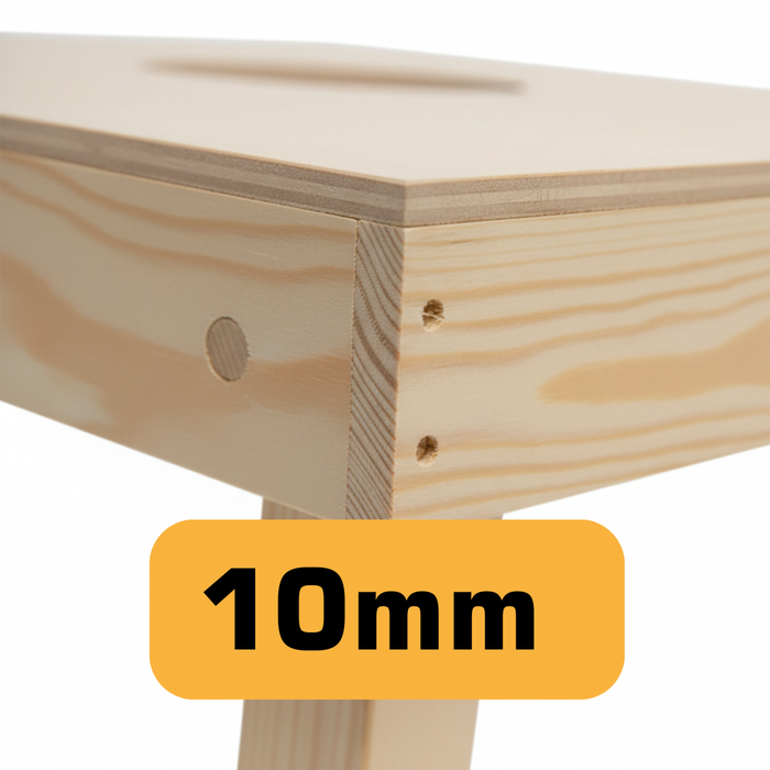 Cornhole Set met Eigen Design - Enkel Board Cornhole sets Wicked Wood Games 10mm (ACL REC)